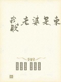 我老婆是东方不败
