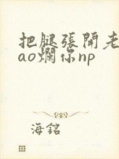 把腿张开老子cao烂你np