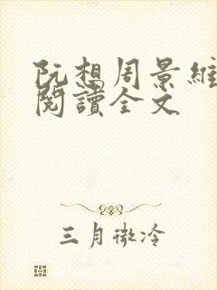 阮想周景维免费阅读全文