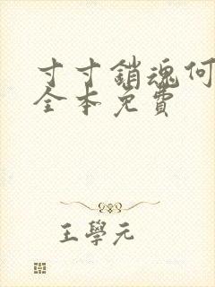 寸寸销魂何生祥全本免费