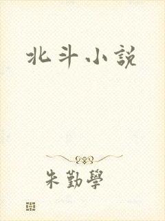 北斗小说