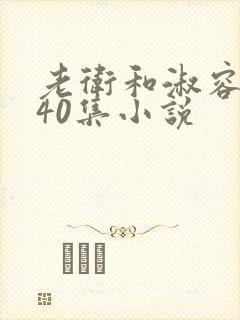 老卫和淑容1-40集小说