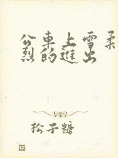 公车上雪柔被猛烈的进出