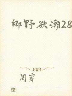 乡野欲潮28章
