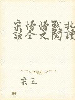 宋惜惜战北望小说全文阅读