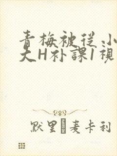 青梅被从小摸到大H补课1视频