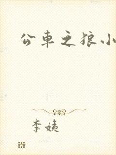 公车之狼小说