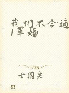 我们不合适1v1军婚