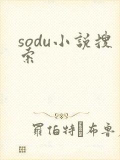 sodu小说搜索