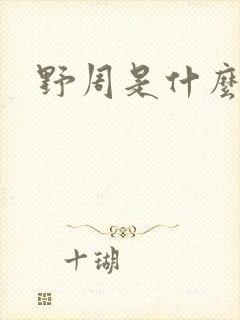 野周是什么意思