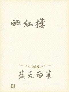 醉红楼