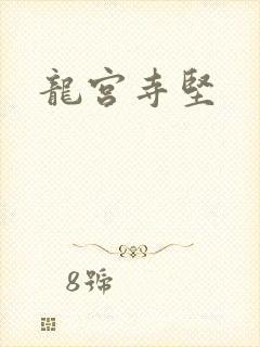 《龙宫寺坚》小说封面