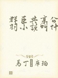 群臣共享公主银羽小说叫什么