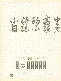 小诗的高中成长日记小说免费阅读