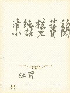 清纯校花的秘密小说免费阅读