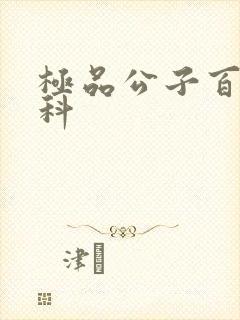 极品公子百度百科