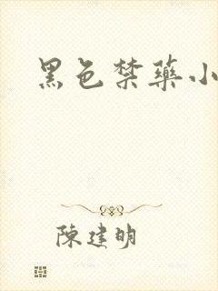 黑色禁药小说