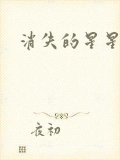 消失的星星封面