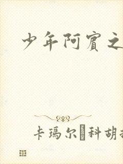 少年阿宾之学姐