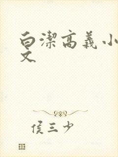 白洁高义小说全文