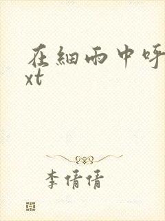 在细雨中呼喊txt