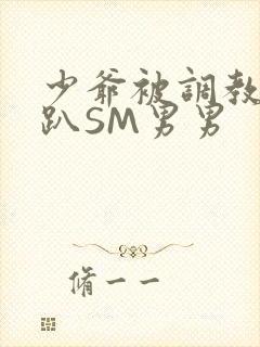 少爷被调教室跪趴SM男男