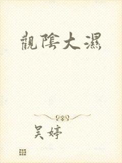 《观阴大湿》小说封面