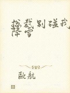 总裁别碰我 韩降雪