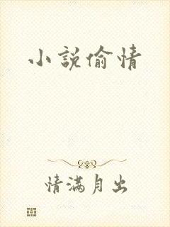 小说偷情