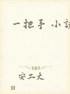 一把手 小说
