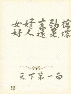 女婿有劲枪枪是好人还是坏人