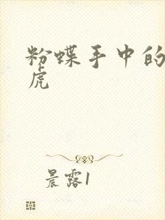 粉蝶手中的纸老虎