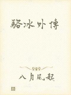 骆冰外传封面