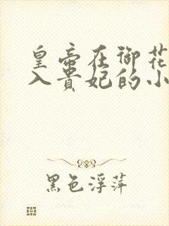 皇帝在御花园进入贵妃的小说