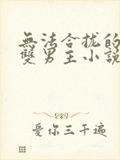 无法合拢的总裁双男主小说