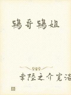 鸨哥鸨姐