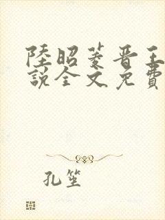 陆昭菱晋王的小说全文免费阅读