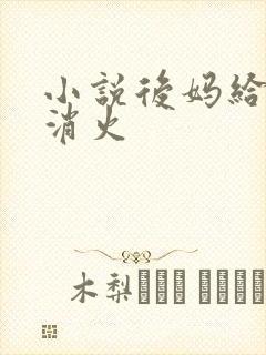 小说后妈给我消消火