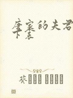 唐家的夫君们帘下衾