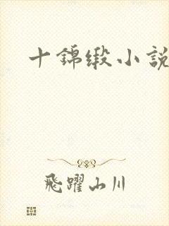 十锦缎小说