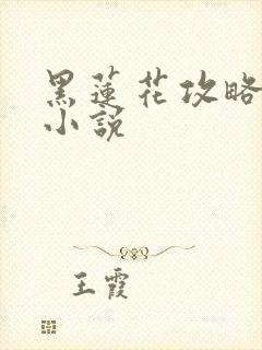 黑莲花攻略手册小说