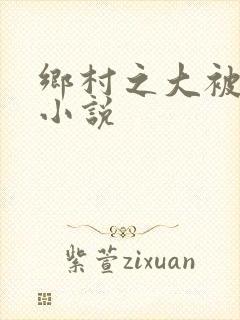 乡村之大被同眠小说