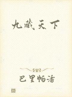 九藏天下