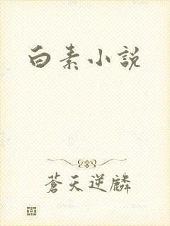 白素小说