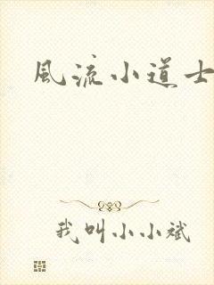 《风流小道士》小说封面