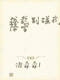 总裁别碰我 韩降雪