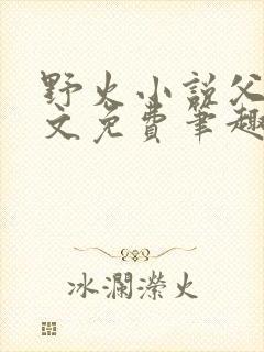 野火小说父女全文免费笔趣阁