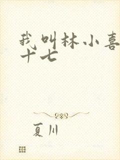 我叫林小喜今年十七