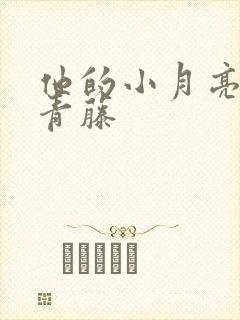 他的小月亮by青藤