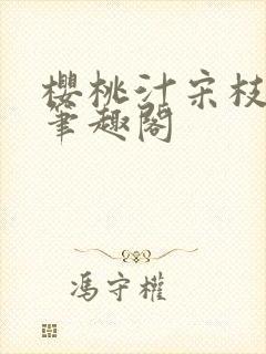 樱桃汁宋枝江野笔趣阁